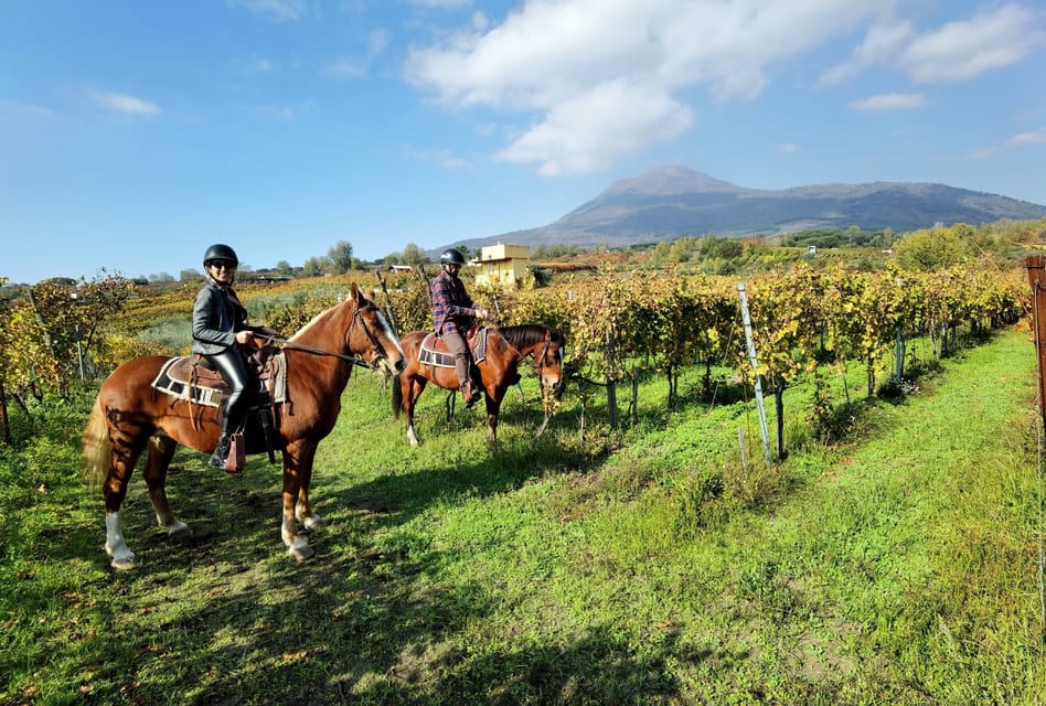 Paseo a caballo por los viñedos del Monte Vesubio con paisaje volcánico