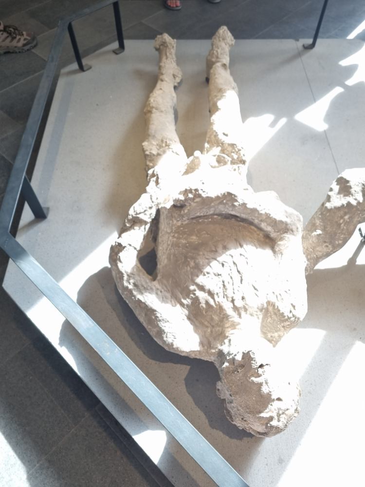 Representación de la erupción pliniana del Vesubio con gran columna de ceniza